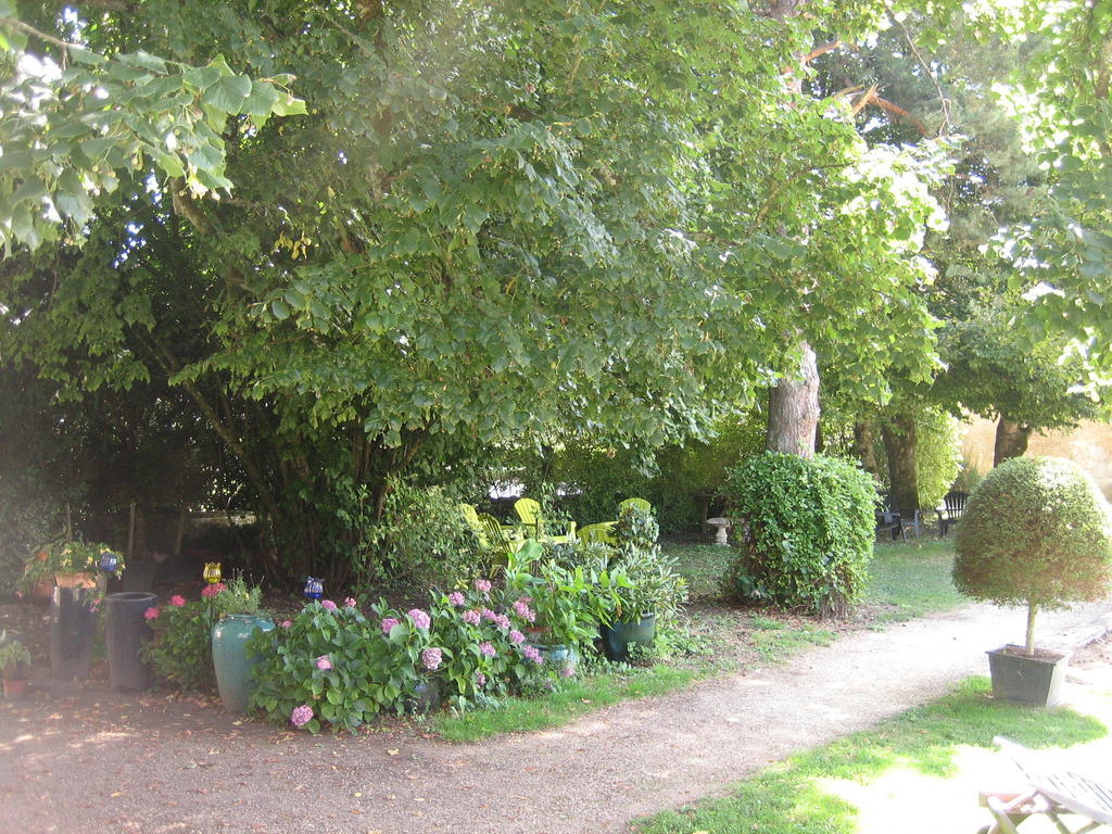 Château de Saint Georges Saint-Georges-sur-Moulon Quarto foto