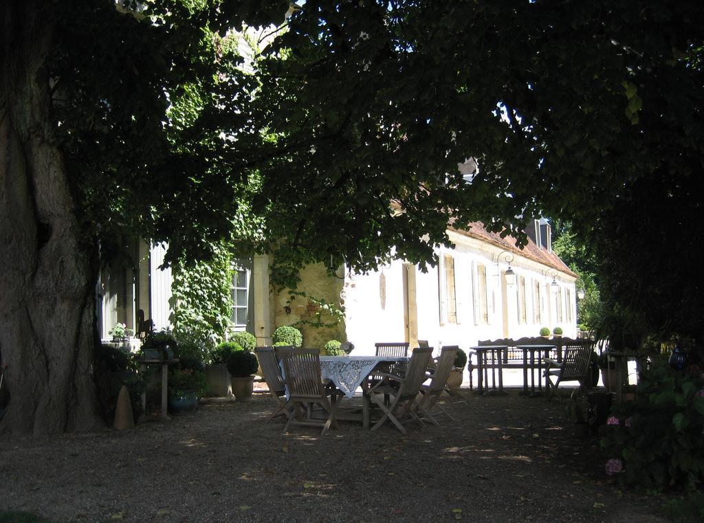 Château de Saint Georges Saint-Georges-sur-Moulon Exterior foto